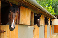 free Treworgan Common stable construction quotes